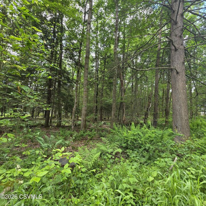 Property Photo:  Lot 23 Wooded Lane  PA 17758 