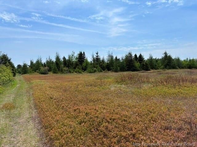 Property Photo:  305 Haut-Lameque  NB E8T 3M9 