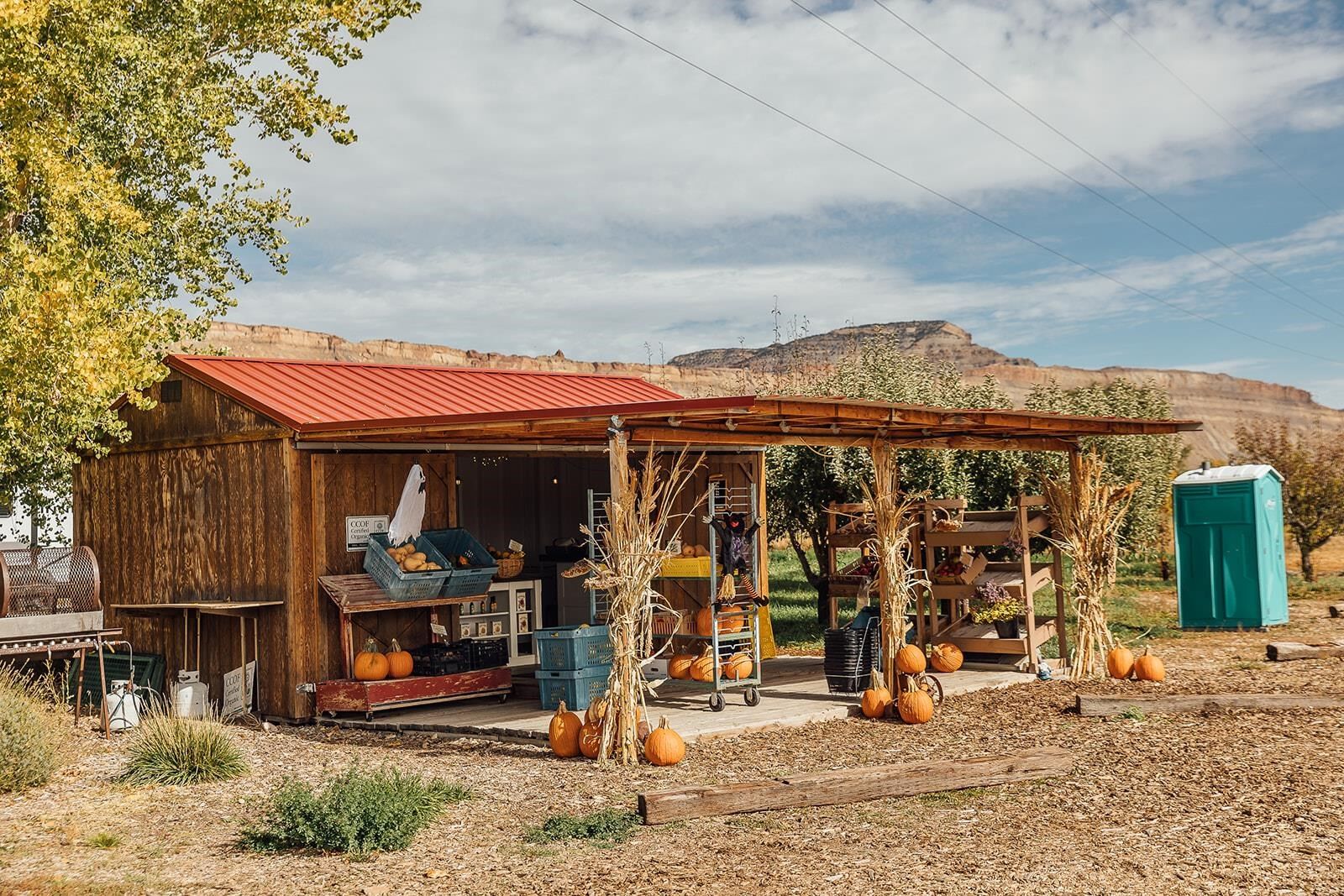Property Photo:  3526 Front Street  CO 81526 