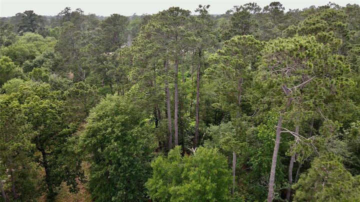 Property Photo: 0 Keenan Cutoff Rd TX 77316