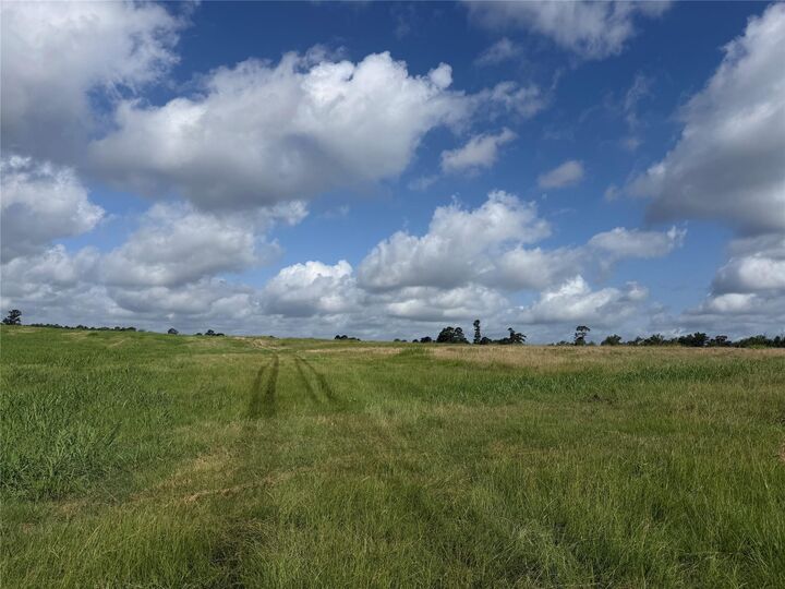 Property Photo:  17133 Fm 149  TX 77356 
