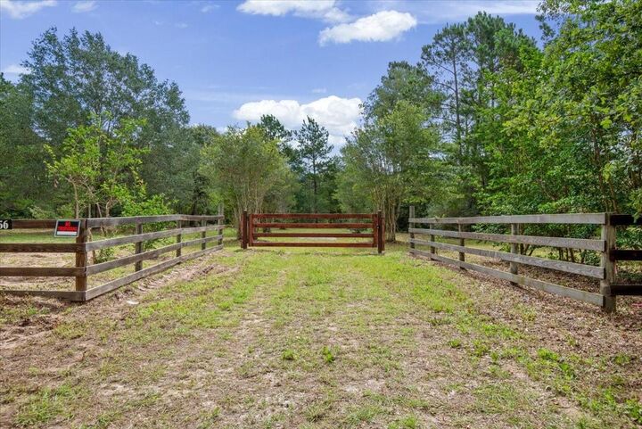 Property Photo: Tbd Lot 4 County Road 302 TX 77363
