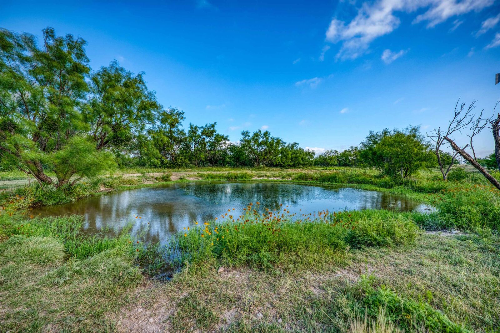 Property Photo:  364 Cr 2019 Road  TX 76837 
