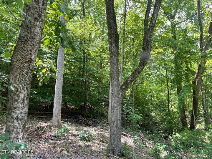 Property Photo:  64 Riddle St  TN 37321 