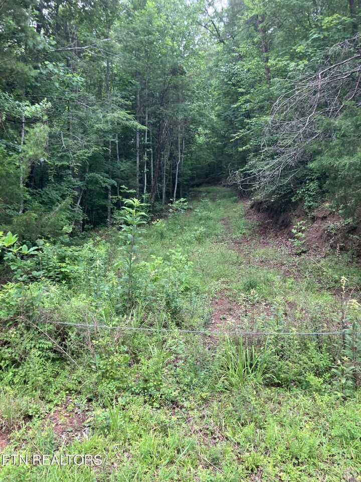 Property Photo: Tract 4 3 Point Rd TN 37885