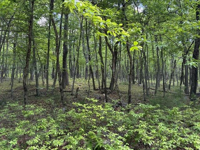 Property Photo:  Lot 249-Maple Lane  PA 18229 