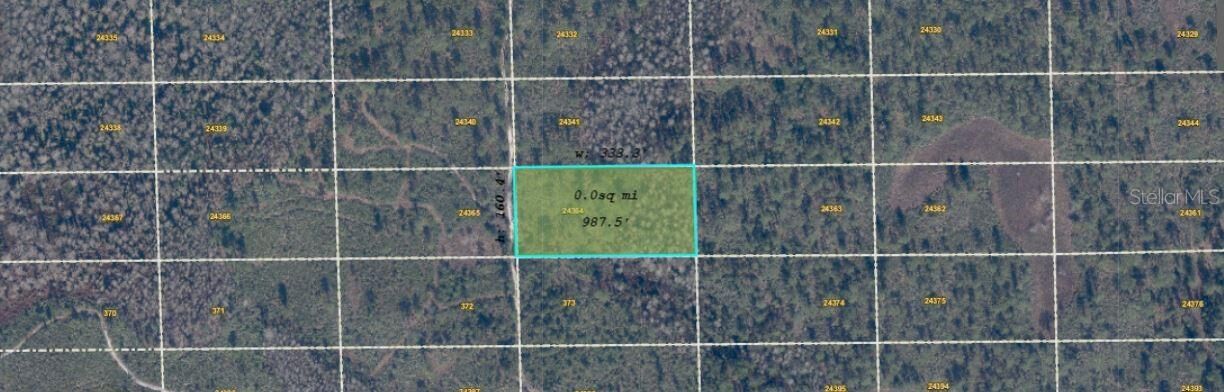 Property Photo:  Dill Road  FL 32820 