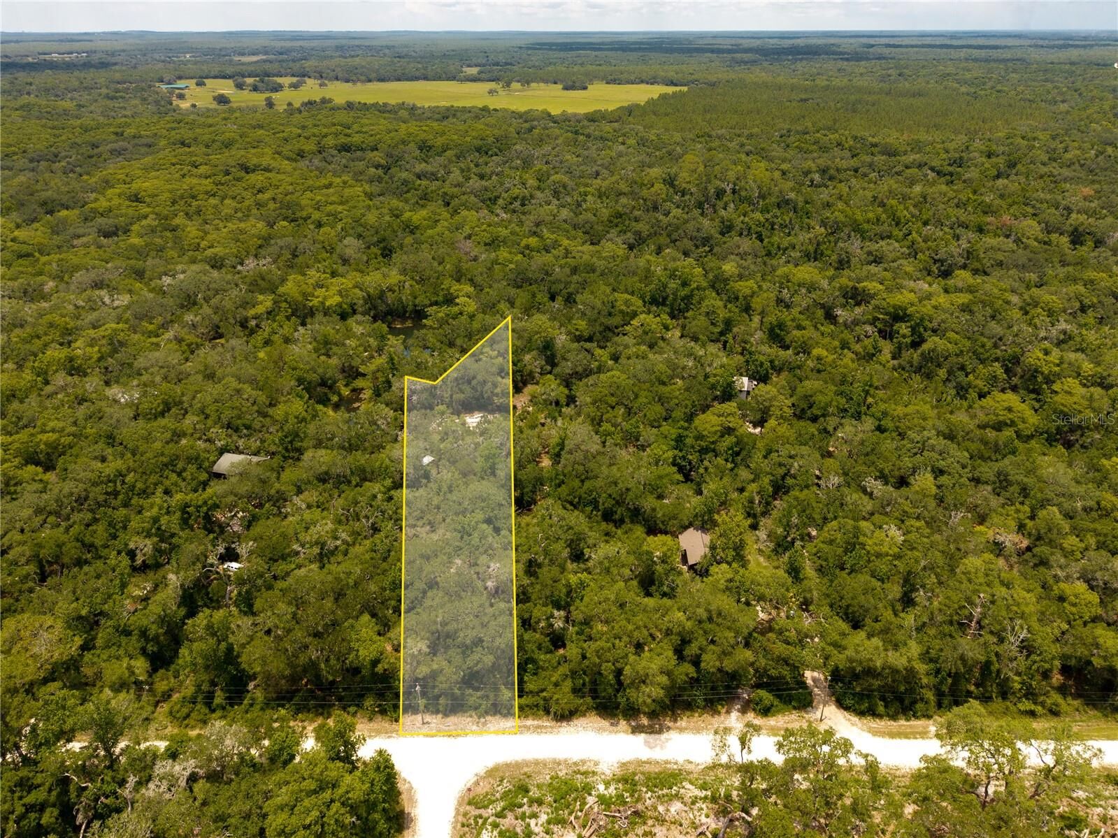 Property Photo:  7333 Riverview Drive  FL 33597 