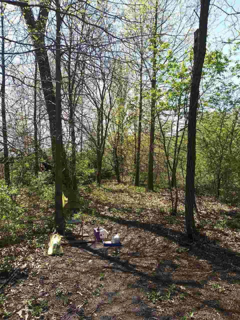 Property Photo:  100 4500 Road  IL 60958 