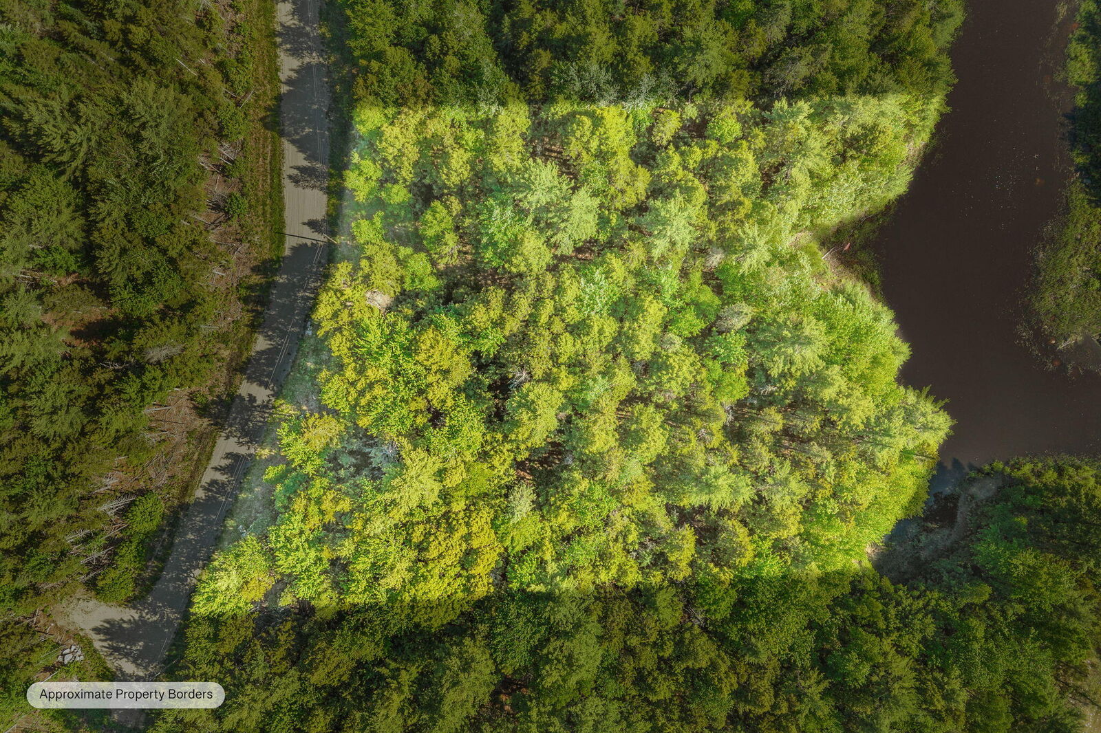 Property Photo: Lot 58 Bufford Drive ME 04605