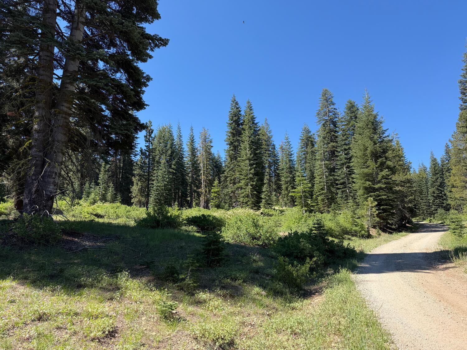 Property Photo: 18 Blue Rock Trail CA 95223