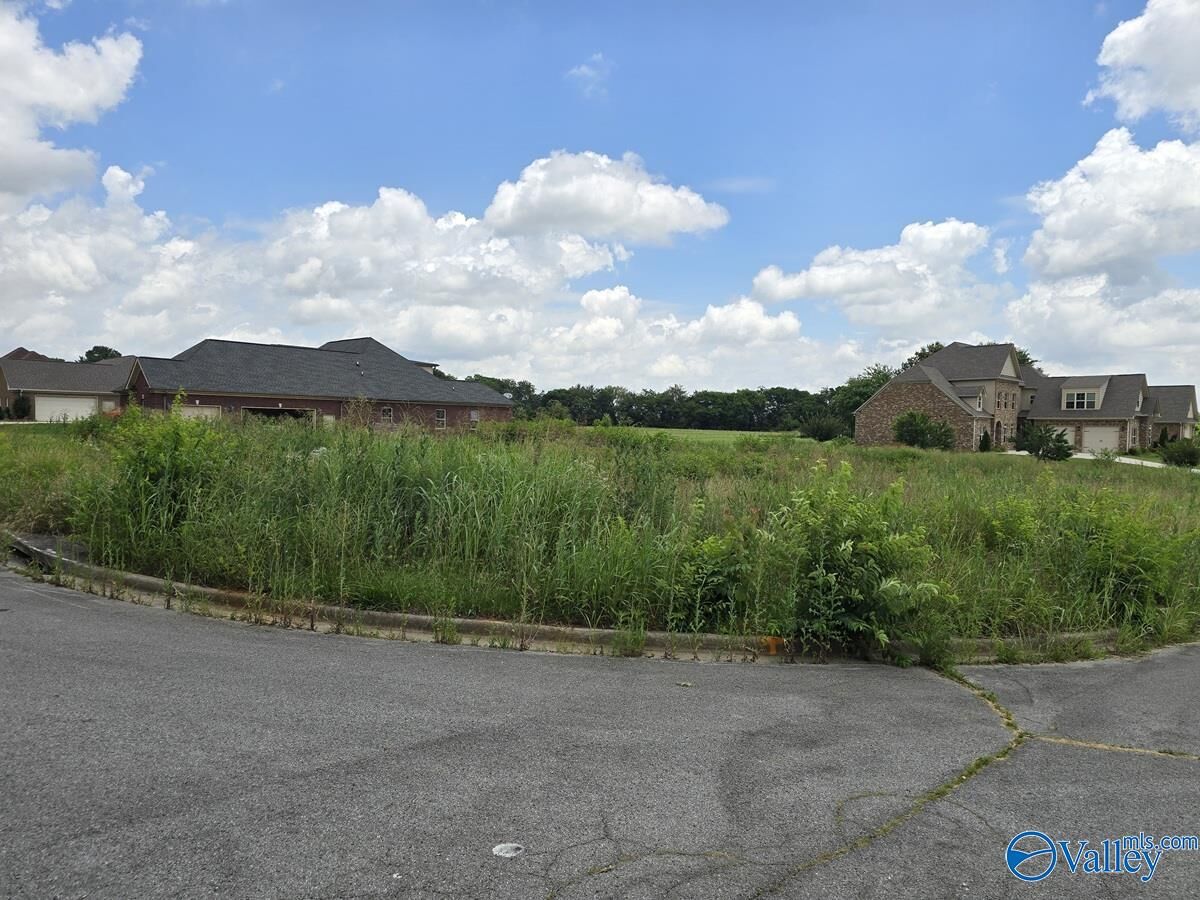 Property Photo:  Lot 24 Brigadoon Drive  AL 35757 