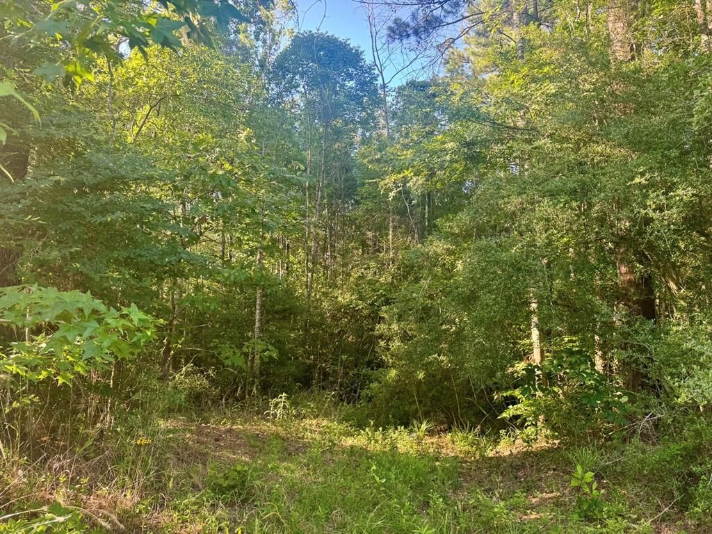 Property Photo: Pid# 15463 Co Rd 1039 TX 75932