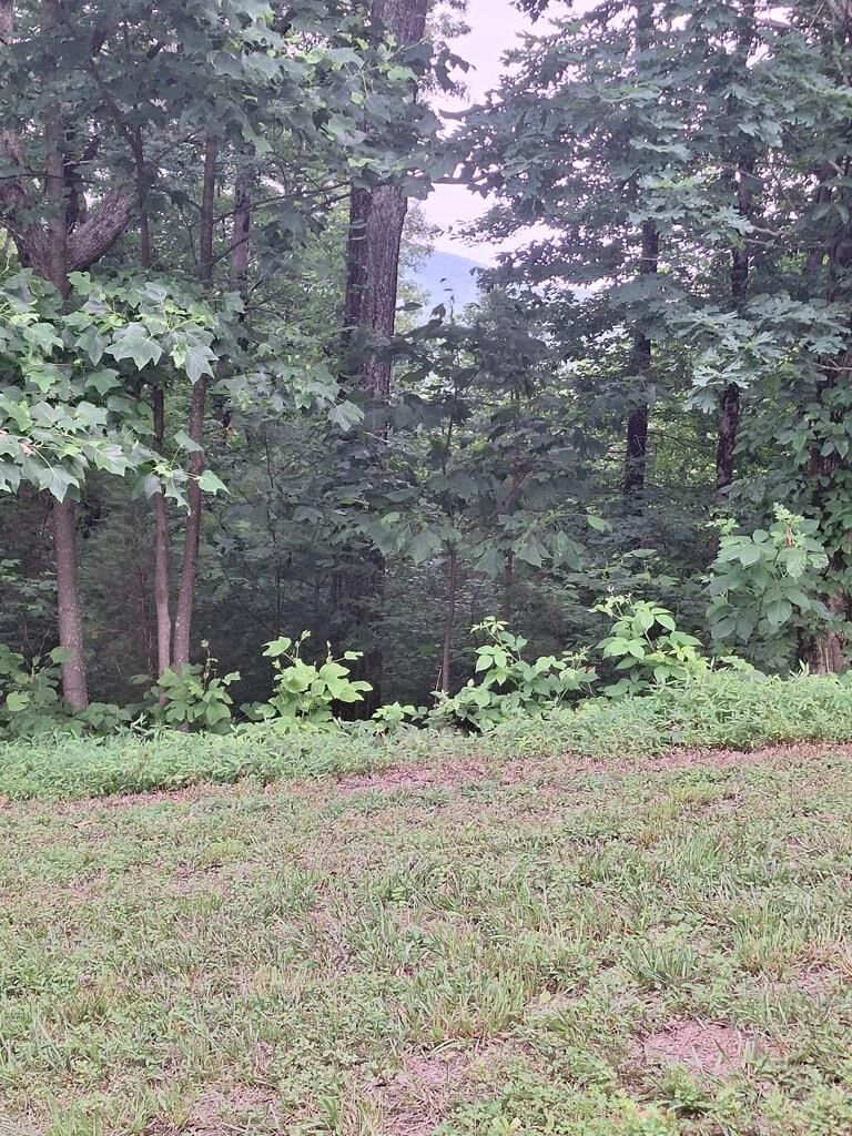 Property Photo:  274 Andes Ridge  GA 30560 