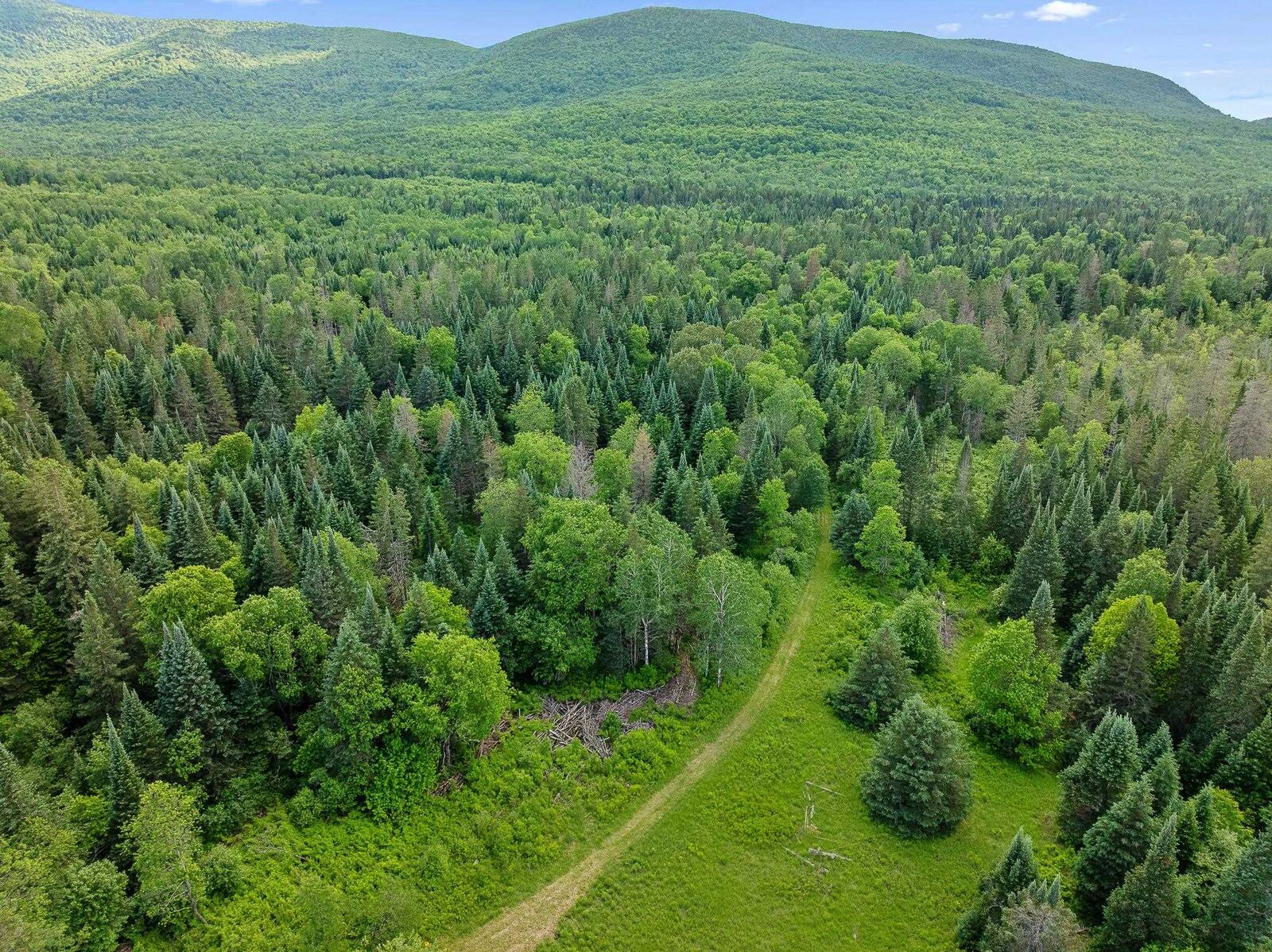 Property Photo:  354 Gray Road  NH 03576 