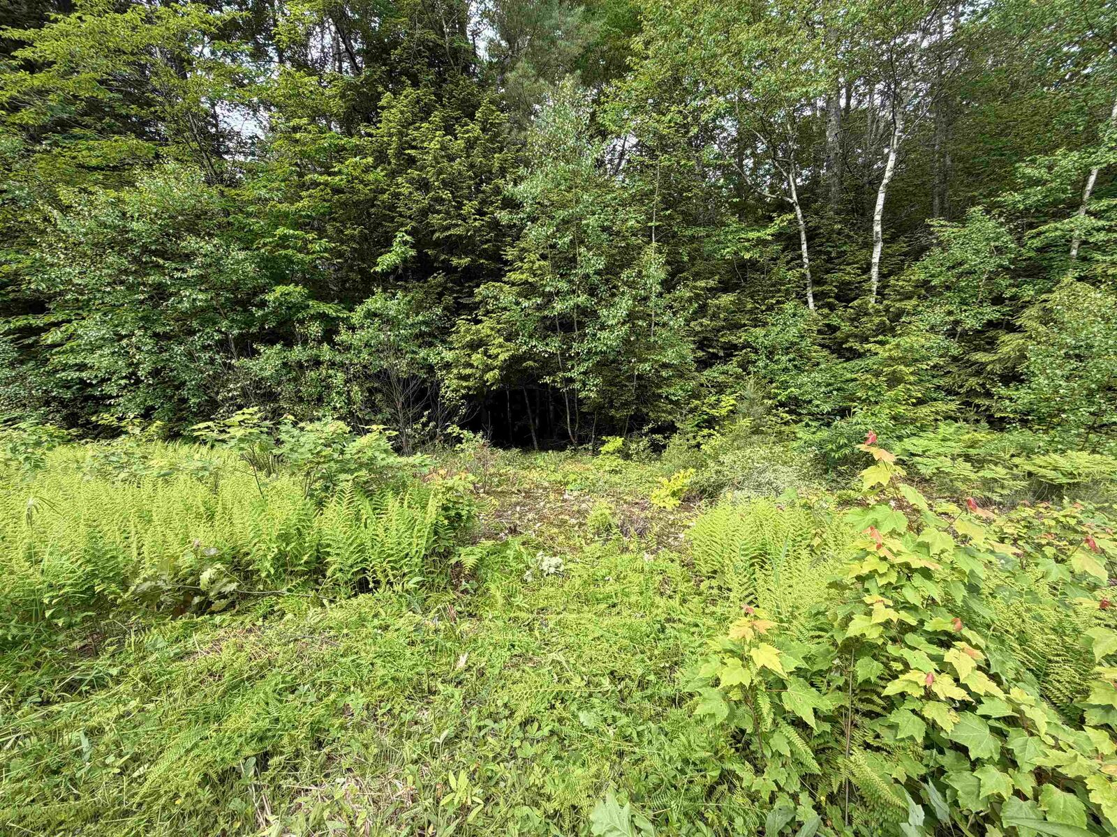 Property Photo: Mountain View Drive NH 03223