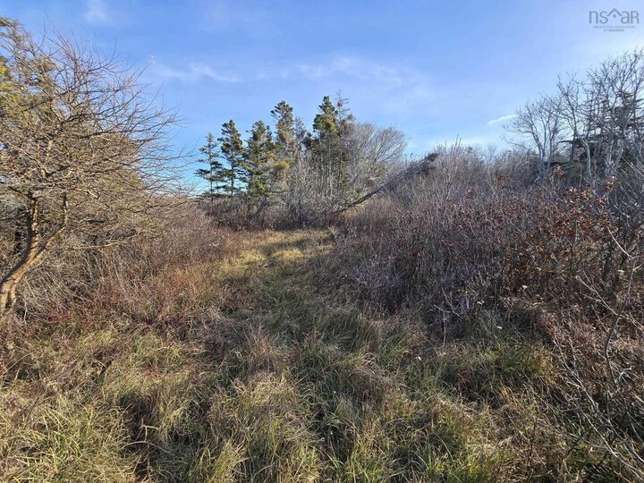 Property Photo:  Lot Shore Road W  NS B0P 1E0 