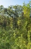 Property Photo:  0 Berry Corner Ln  MA 01741 