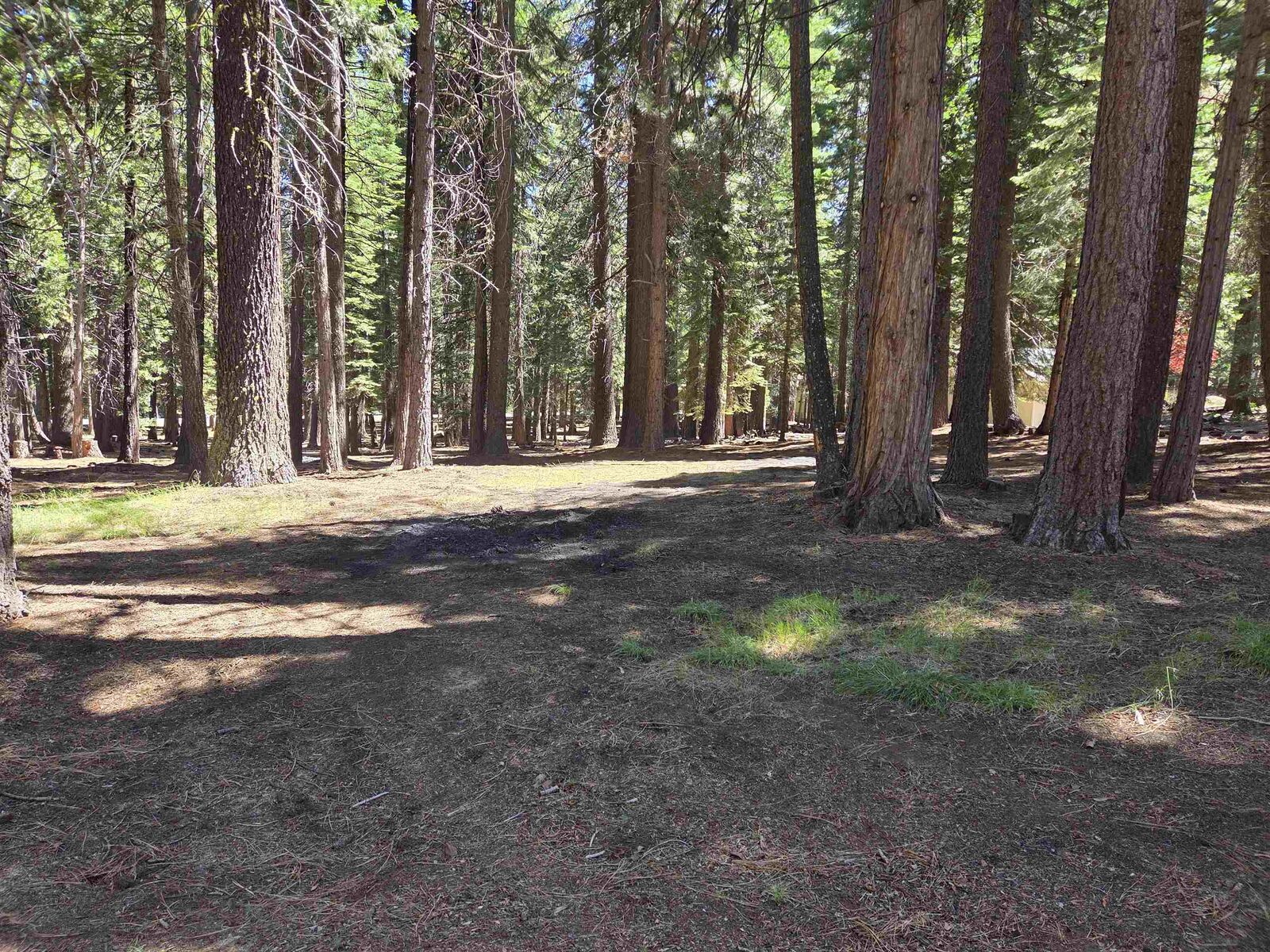 Property Photo: 307 Raccoon Trail CA 96020