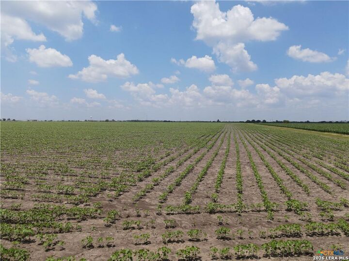 Property Photo: Tbd Willmann TX 78155