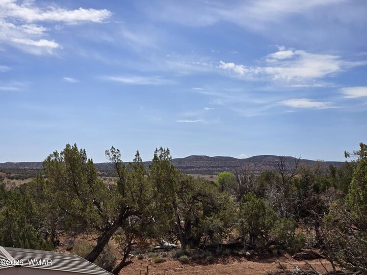 Property Photo:  9255 Tonto Road  AZ 85937 