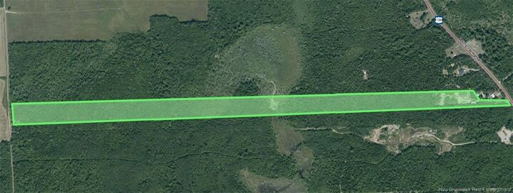 Property Photo:  Lot Route 134  NB E4R 3P1 