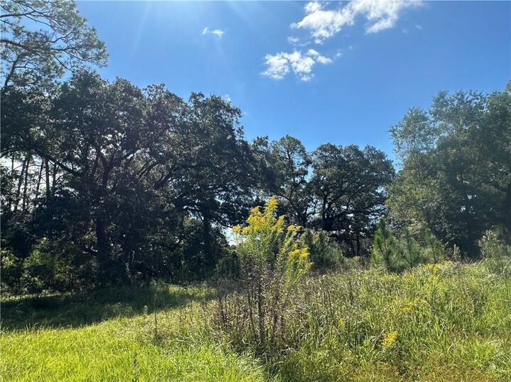 Property Photo: 8916 Alba Street W AL 36509