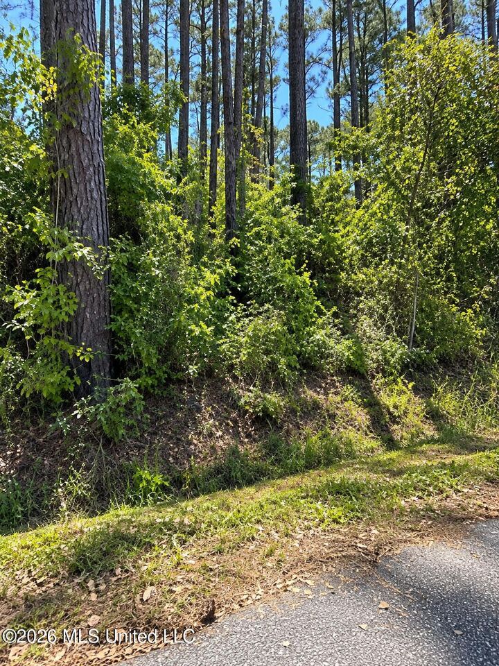 Property Photo: Parkview Lane MS 39571