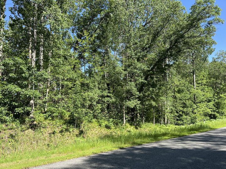 Property Photo:  Lot 8 Terminal Road  MN 56472 