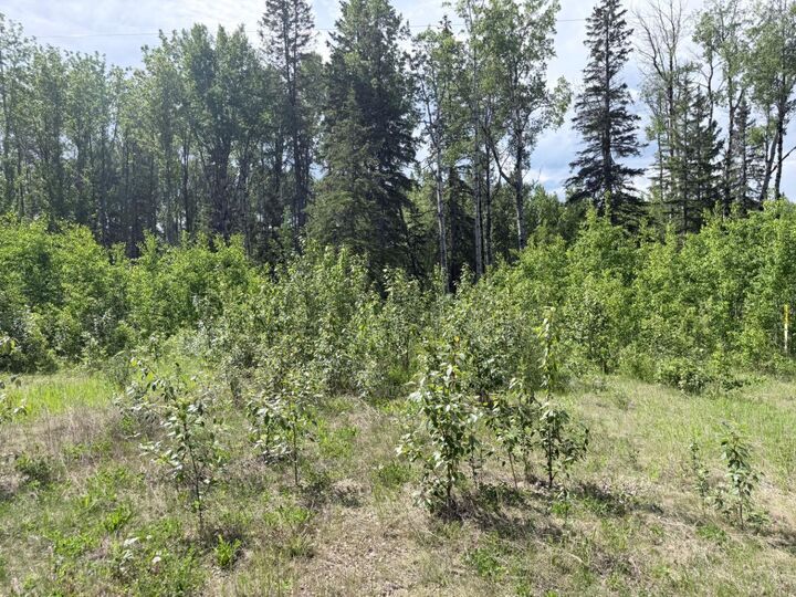 Property Photo: Block 1 Lot 5 Elk Ridge Estates AB T7S 1N9