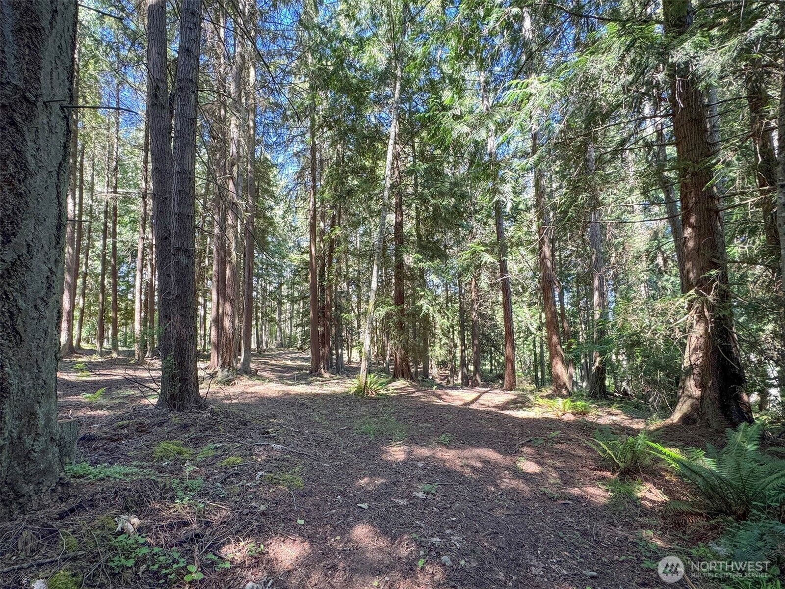 Property Photo: 9999 N Bagley Creek Road WA 98362