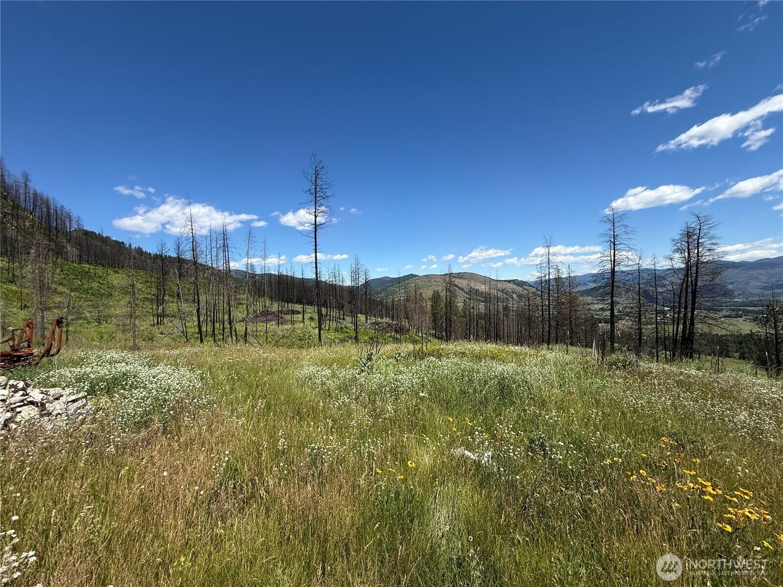 Property Photo: 367 4th Of July Creek Road WA 99121