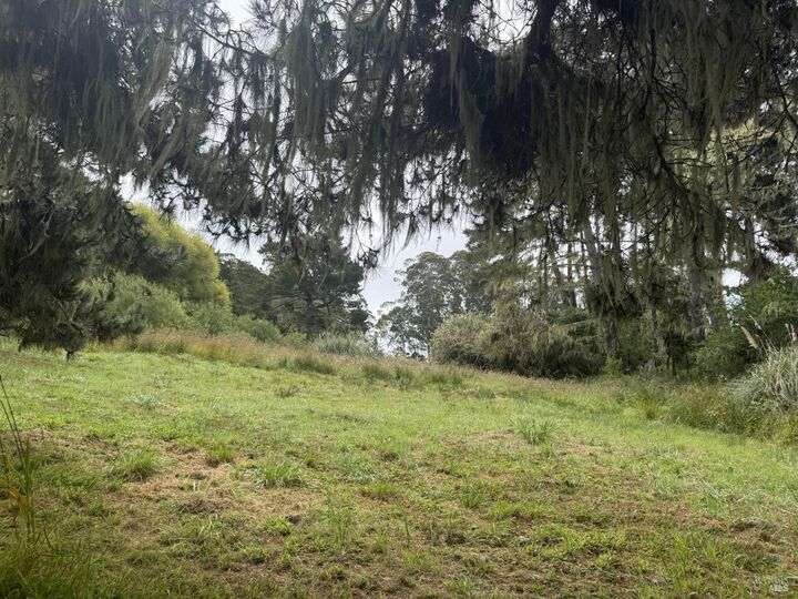 Property Photo:  241 Alder Road  CA 94924 