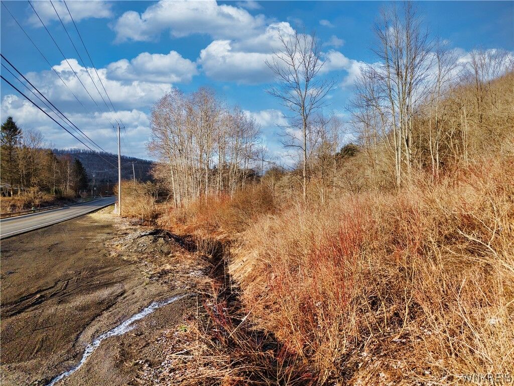 Property Photo:  6000 Nys Rte 242 Lot #7  NY 14731 