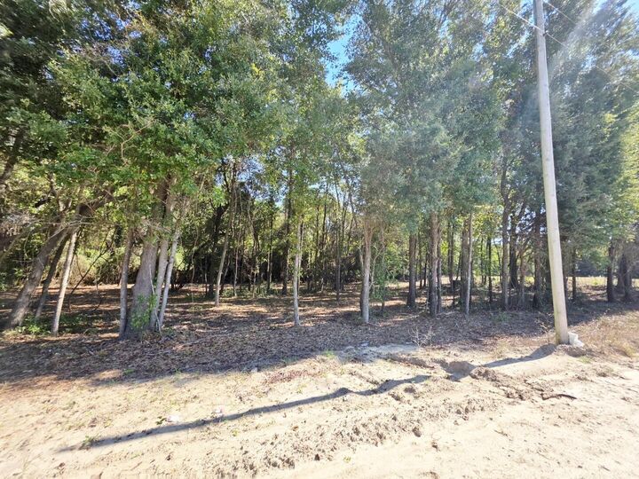 Property Photo: 6 Joseph Lemon And Dingle Road SC 29102