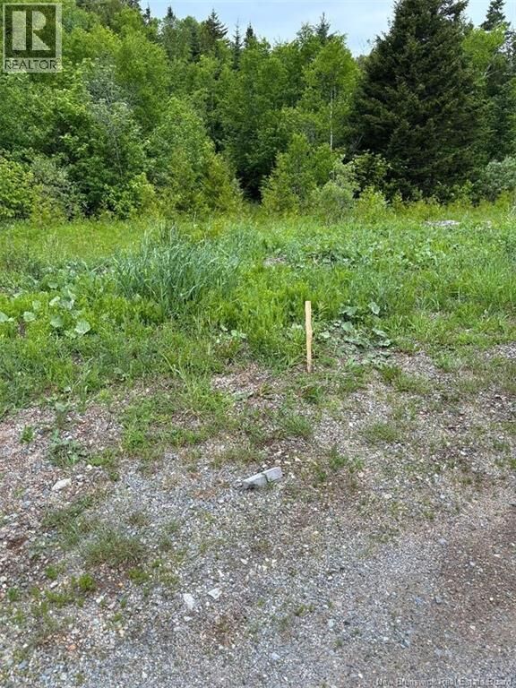 Property Photo:  00 Drury Cove Road  NB E2H 0B2 