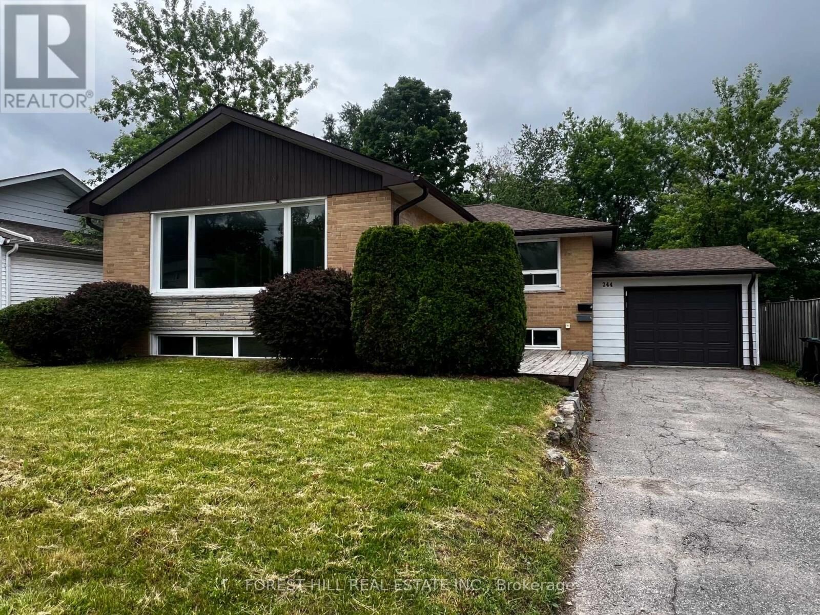 Property Photo:  244 St Vincent Street Lower  ON L4M 3Z8 