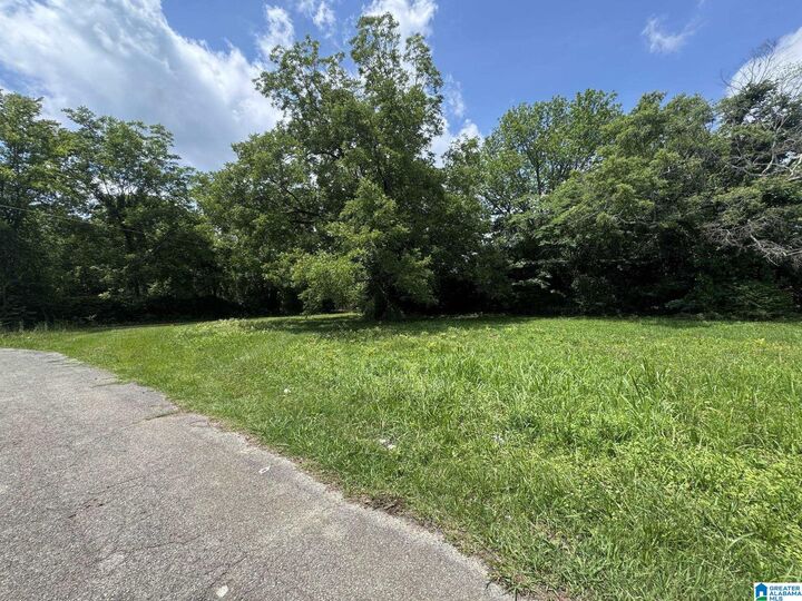 Property Photo: 408 S Christine Avenue 0 AL 36207