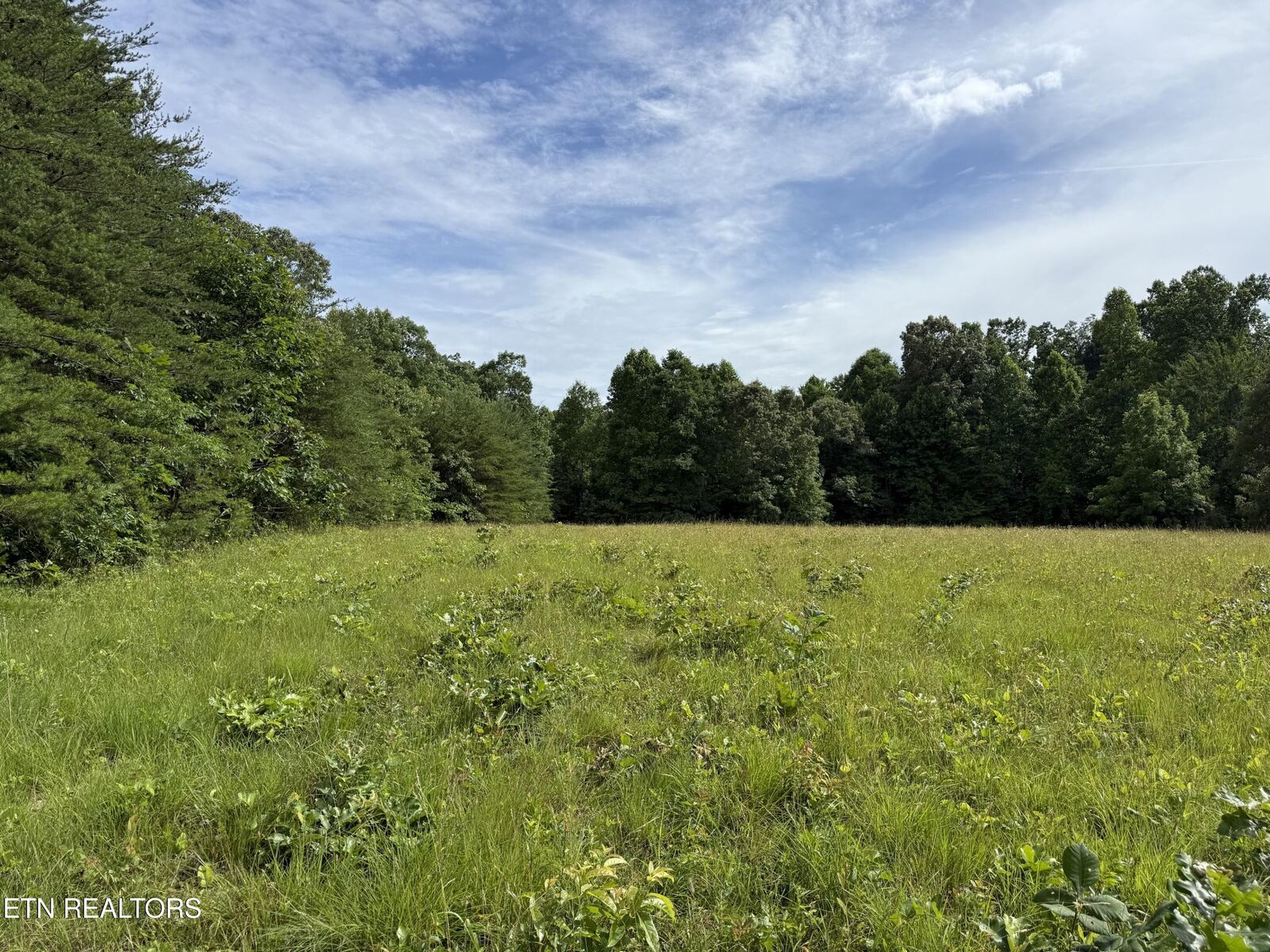Property Photo:  Clear Creek Rd. 41 Acres  TN 38571 
