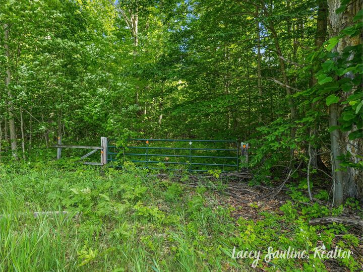 Property Photo:  0 W Finkle Road  MI 49657 