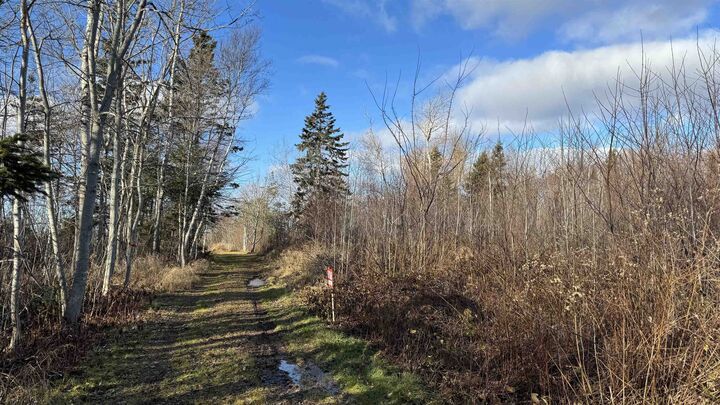 Property Photo:  Lot 23-4 0 Isidore Lane  PE C0B 2E0 