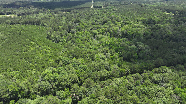 Property Photo:  Tbd Hwy 171  LA 71439 
