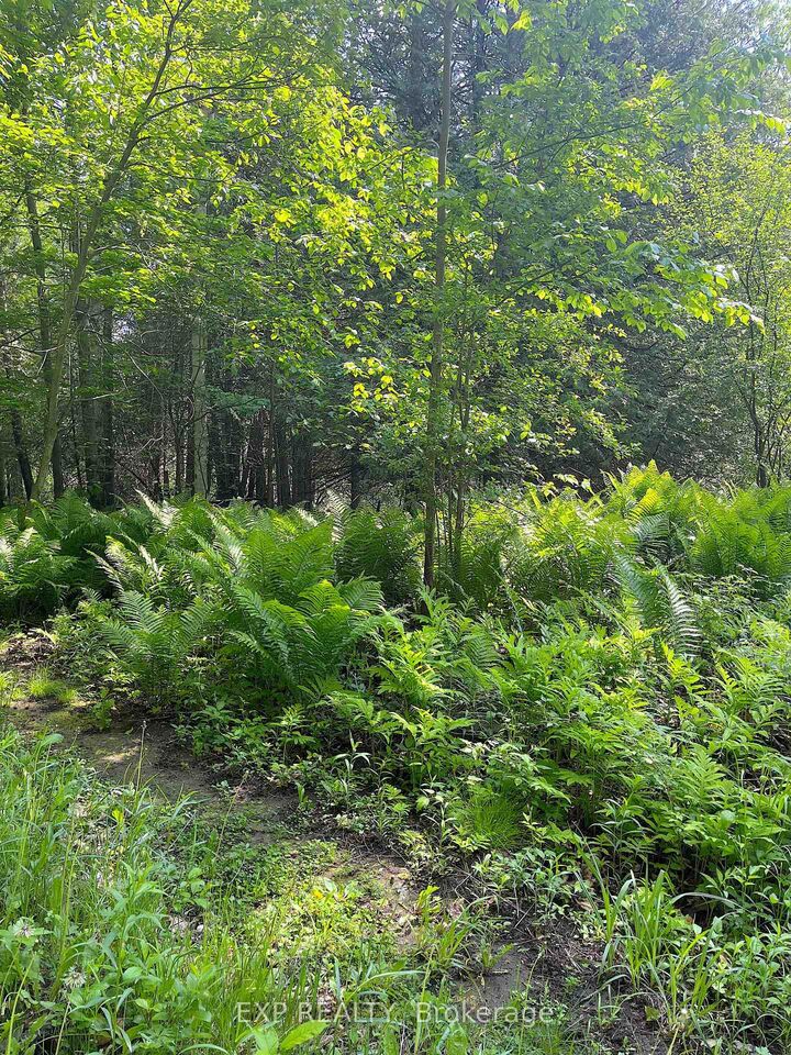 Property Photo:  00 Johnston Road  ON K7V 3Z8 