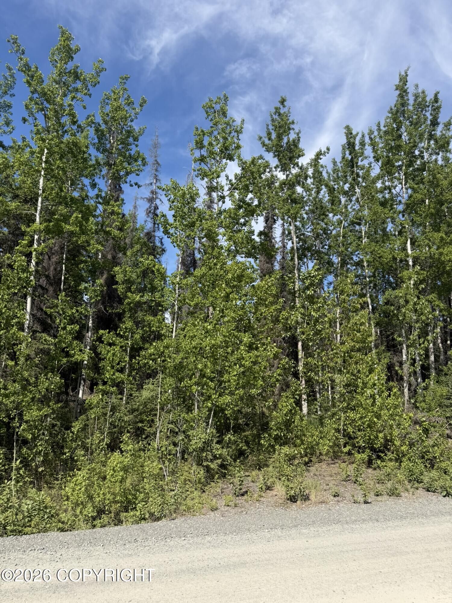 Property Photo:  L2a Westwood Lane  AK 99672 