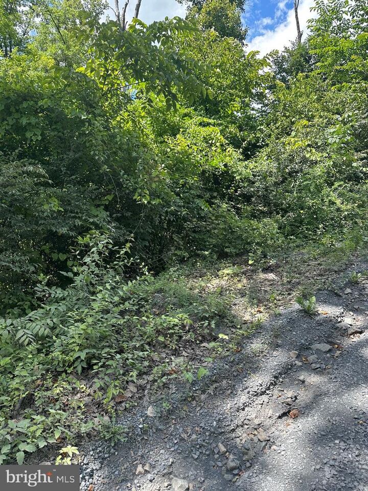 Property Photo: 2lots 463, 462 Reid Drive VA 22630