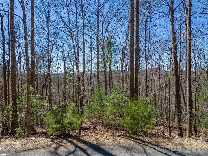 Property Photo:  132 Overlook Park Drive 51  NC 28792 