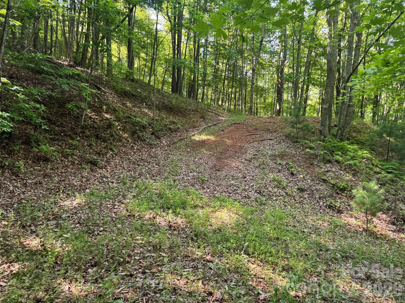 Property Photo:  856 Stoney Stream Lane 146 &Amp 147  NC 28704 