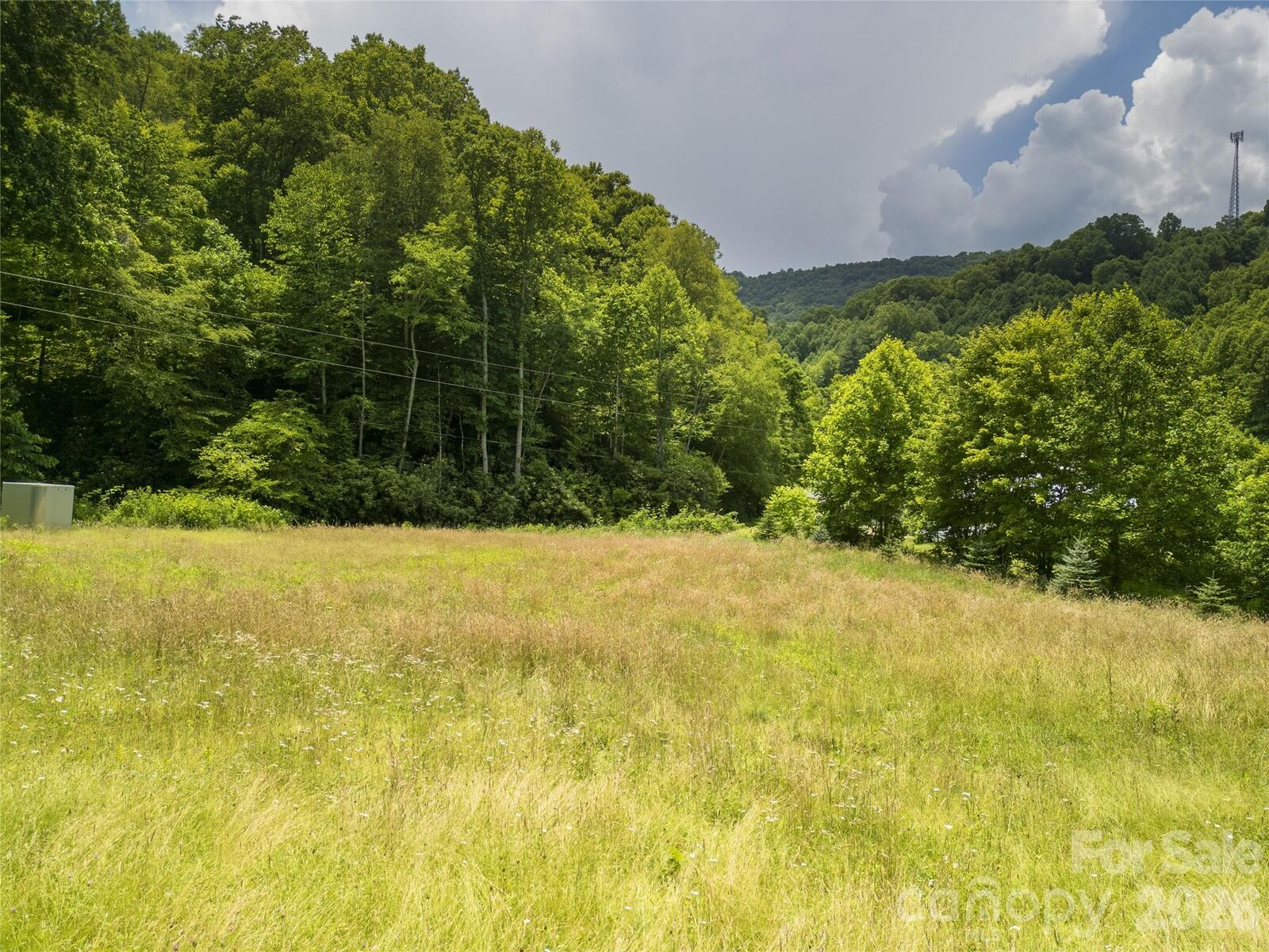 Property Photo:  168 Smith Creek Road  NC 28754 