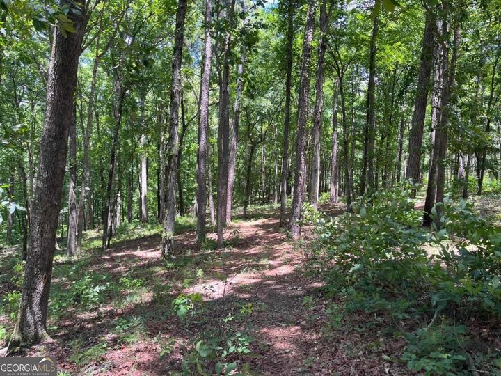 Property Photo:  1577 Pullman Lane  GA 30642 