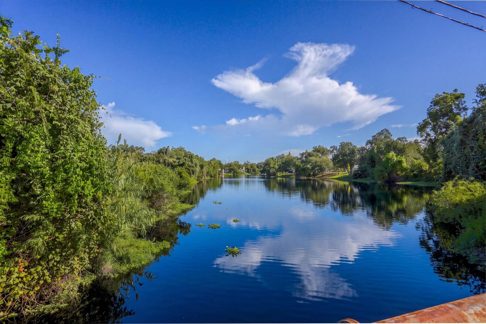 Property Photo: 511 Guyer Street TX 77498